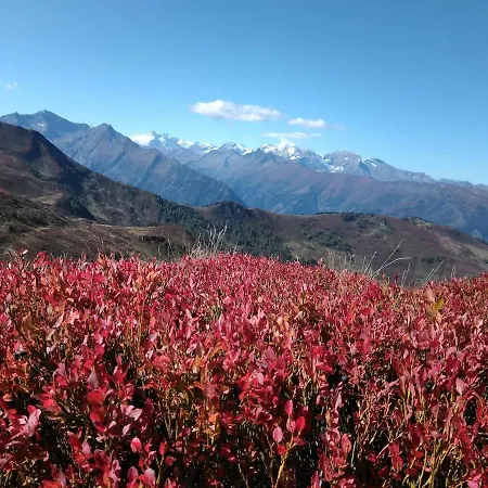 Appartamento Family Sonja Terrace & Mountain View