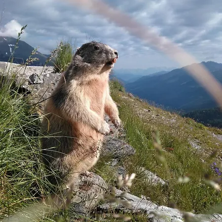 Appartamento Family Sonja Terrace & Mountain View