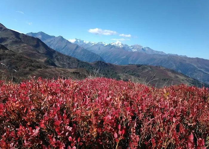 Appartement Family Sonja Terrace & Mountain View